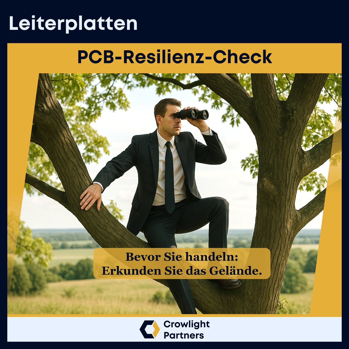Mann im Anzug sitzt mit Fernglas im Baum. Titelfolie: PCB-Resilienz-Check, Bevor Sie handeln: Erkunden Sie das Gelände.